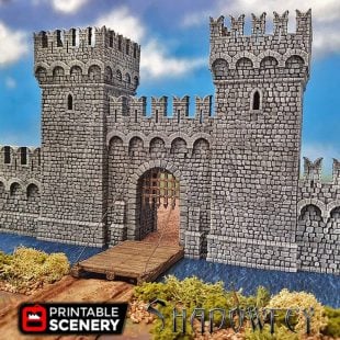 3d Printed Winterdale Warhammer Dungeons and Dragons Frostgrave